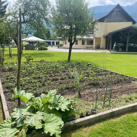 Pension Lipicer Kotschach-Mauthen Exteriör bild