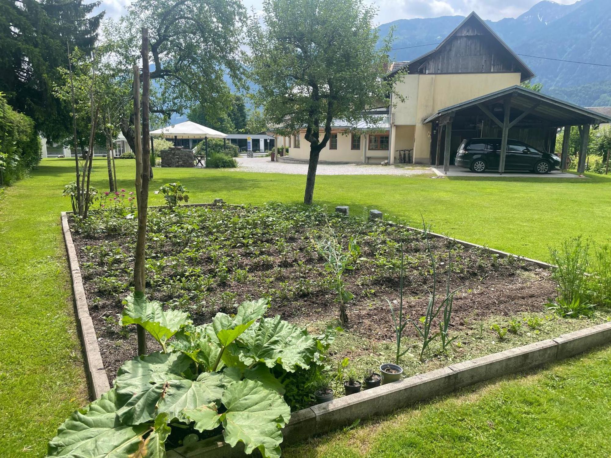 Pension Lipicer Kotschach-Mauthen Exteriör bild